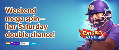 Mega Slot Free Spins Frenzy promotion banner